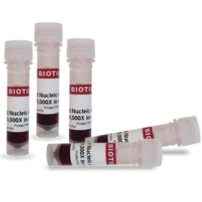 Gel Red Gel Red Biotium