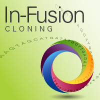 In-Fusion cloning In fusion cloning