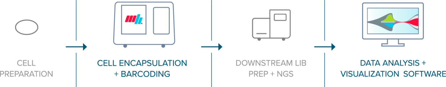 Mission Bio Workflow
