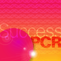 Takara PCR