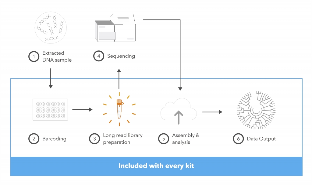 Loop genomics worfkflow