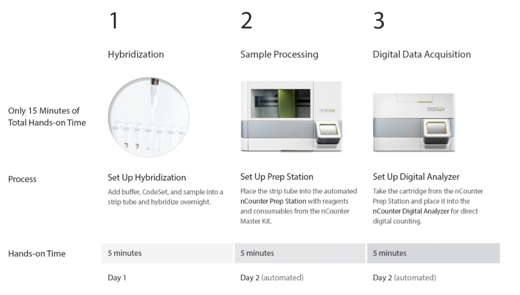 nCounter Workflow