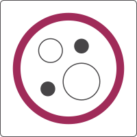 Stem Cells