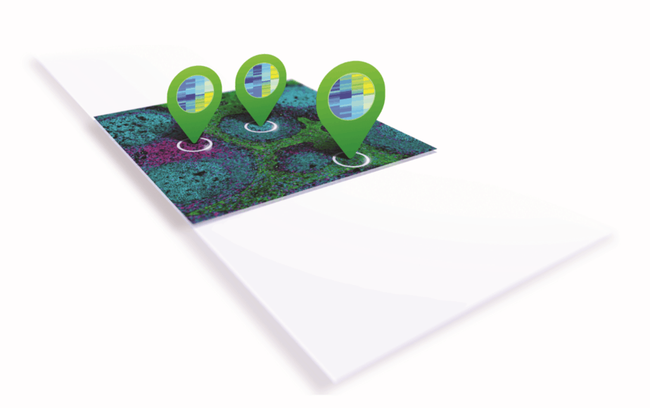 Nanostring slide